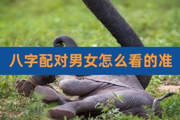 姻缘八字配对，姻缘八字配对怎么算