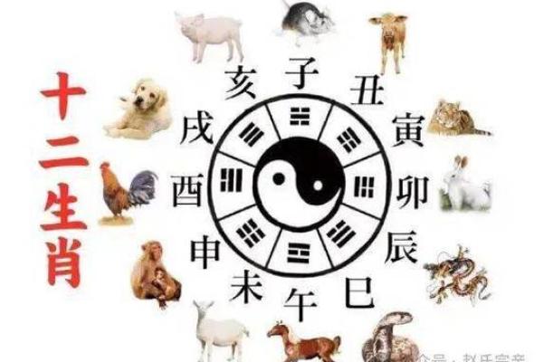 黄道吉日2025年10月属狗动土一览表 生肖狗在2025年的运势以及注意月份