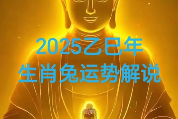 黄道吉日2025年12月属兔动土最吉利的日子_2025年生肖兔