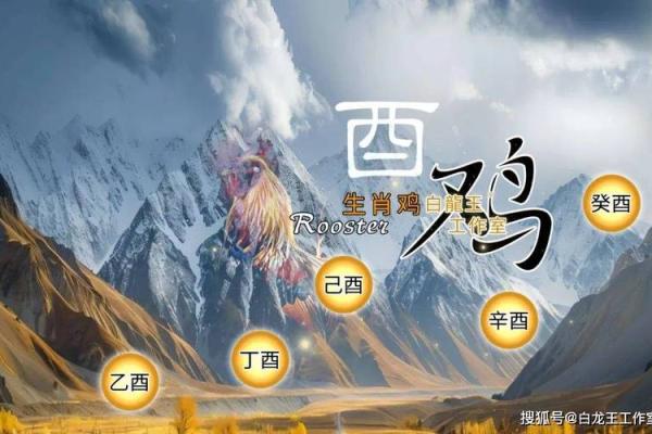 2025年属鸡动土吉日推荐5月最旺动土日子选择指南