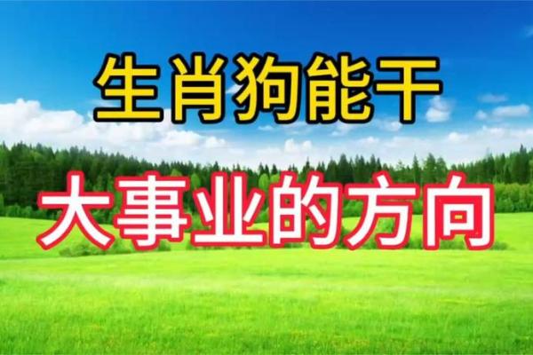 2025年9月份生肖狗动土好吉日分享 2025年生肖狗全年运程