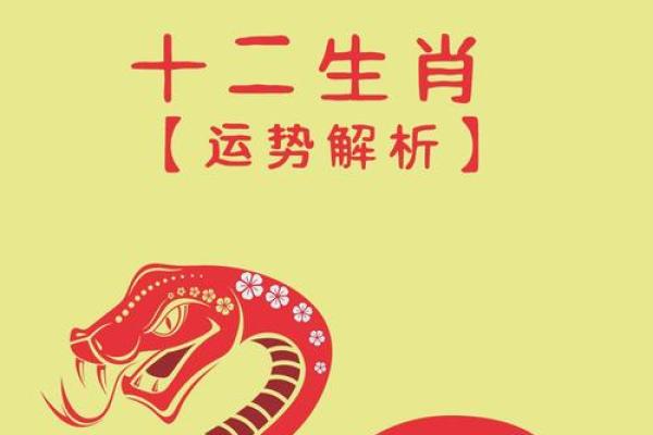 2025年11月份属兔的人动土吉日精选 2025年兔宝宝几月出生最好
