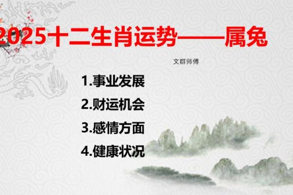 2025年11月份生肖兔动土好吉日分享_2025年11月28日是什么日子
