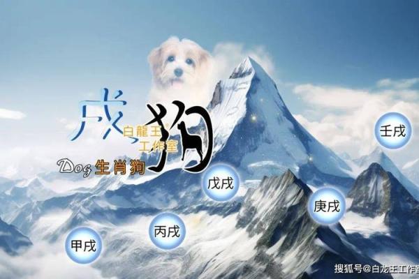 2025属狗动土吉日推荐11月最吉利动土日子选择指南