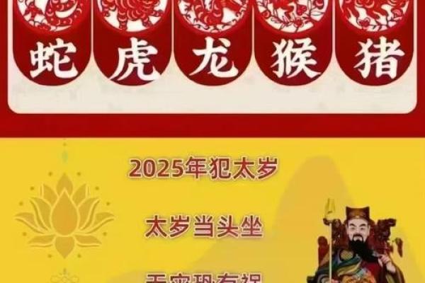 黄道吉日2025年2月属蛇动土最吉利的日子_21年2月属蛇开工吉日