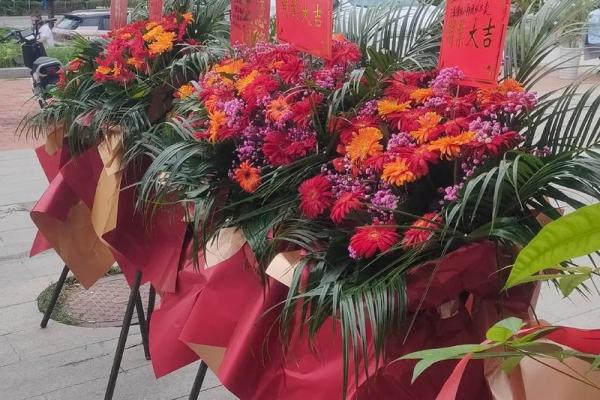 2020年6月开业新居最好的日子 2020属鼠新居开业吉日推荐2020年6月最佳开业日子选择指