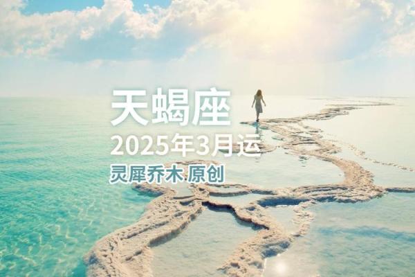2025年天蝎座3月份适合领证的日子