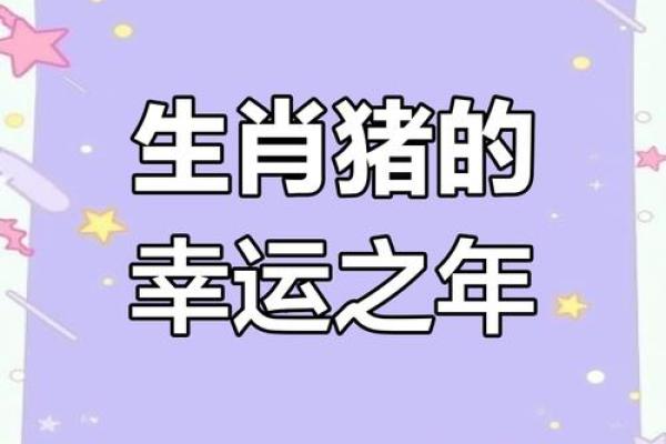 2025年8月份生肖猪适合动土的择吉日 2025年对属猪的人怎么样
