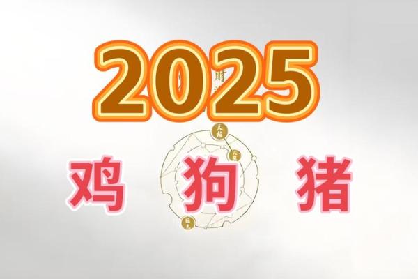 2025年生肖鸡动土吉日推荐 2025年生肖鸡动土吉日推荐2025年最佳动土日选择指南