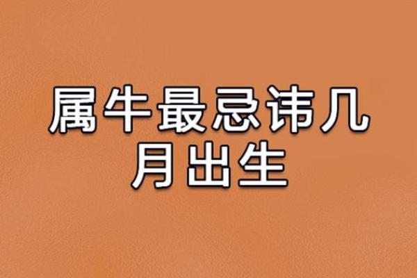 2025年7月份生肖牛适合动土的择吉日_2025年出生的牛宝宝是什么命