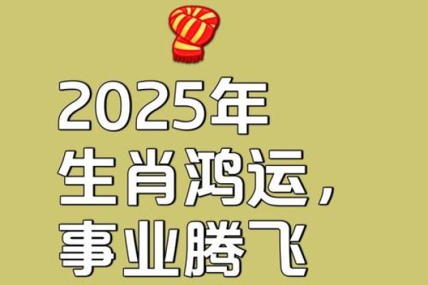 黄道吉日2025年3月生肖猪动土最好的日子 2025生肖猪动土吉日推荐3月最佳动土日子选择指南