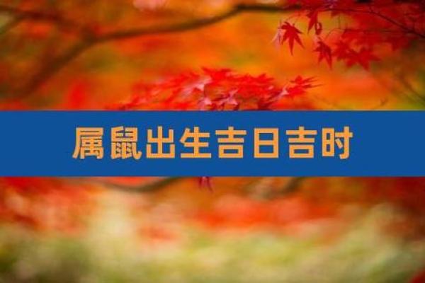 黄道吉日2025年8月属鼠动土最吉利的日子_属鼠人2021年公历8月搬家吉日