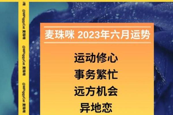 2025年射手座8月份适合动土吉日一览表_射手座2021年八月份
