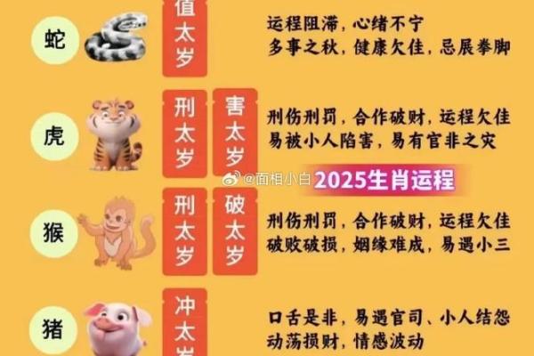 2025年10月黄道吉日动土新居 2025年属蛇动土新居吉日推荐10月最旺动土日子选择指南