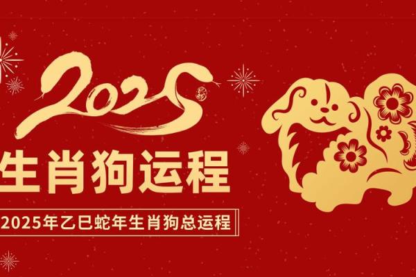 2024年5月份生肖狗适合乔迁的择吉日