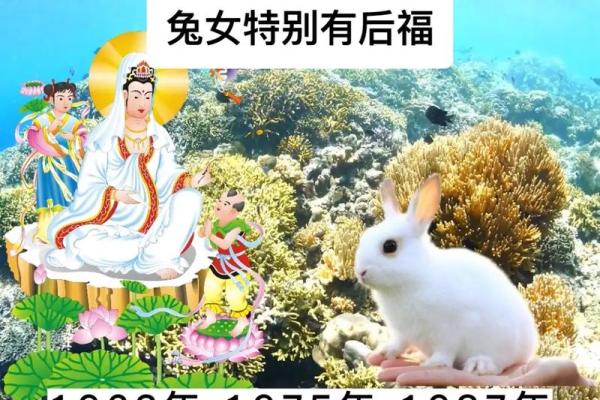 2025年3月份生肖兔开业好吉日分享
