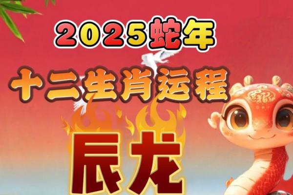 黄道吉日2025年10月生肖龙动土吉日查询 请问2025年属龙的是什么命