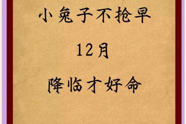 2025年10月份属兔的人最佳动土吉日大全 2025属兔动土吉日大全2025年10月最佳动土日子推荐