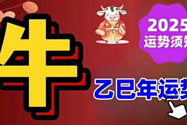 2025年1月份生肖牛动土好吉日分享_2025年出生的牛宝宝是什么命