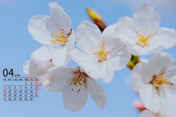 📅《2021年4月安门吉日》速查指南