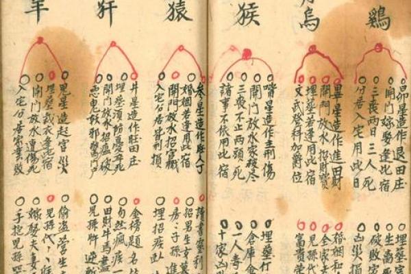 《安门吉日的选择》介绍