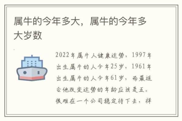 2020年5月份属牛的人最佳开业吉日大全 2021年属牛的几月开业大吉