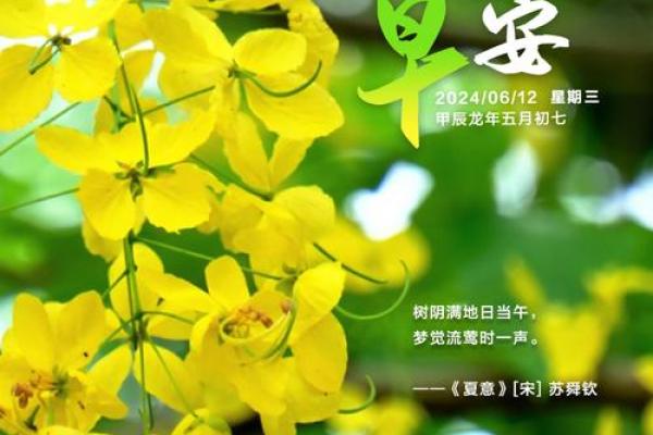 《安门吉日2024年6月》