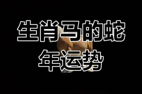 2025年生肖马适合乔迁的好日子推荐
