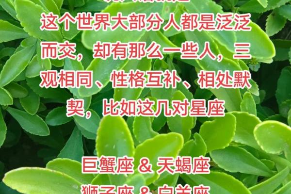 2025年巨蟹座2月份动土吉日推荐与选择指南