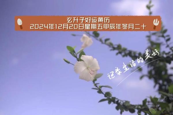《二月安门吉日》｜2024年开春好运指南 🌸