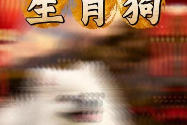 2025年11月属狗最佳动土日期 2020年11月属狗入宅黄道吉日