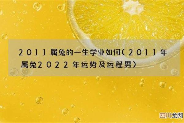 2011年属兔一生学业 2011年属兔一生学业女孩