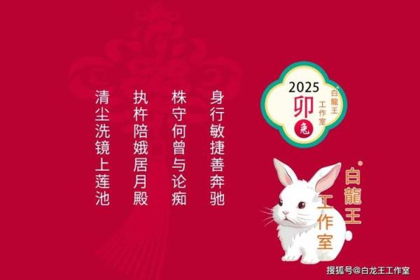 2025属兔的今年多大了_属兔今年几岁对照表