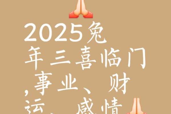 属兔的今年多大啦2025年_属龙的在2025年多大了