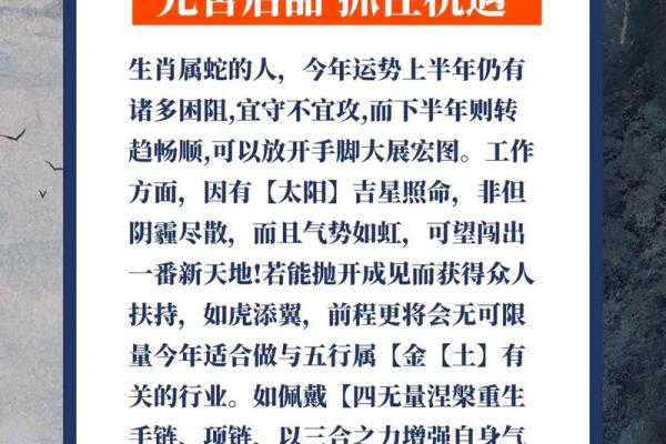 2025年属蛇男全年运势解析1965年出生者每月运程