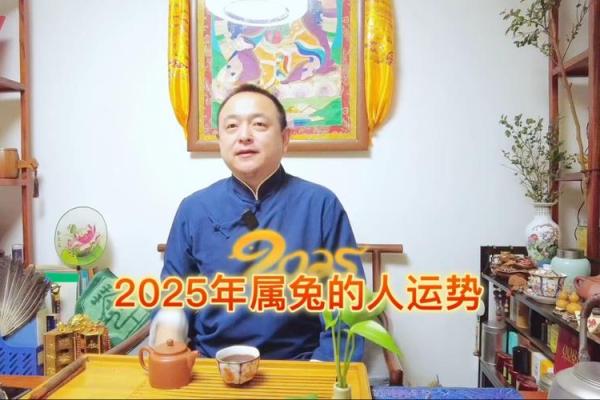 属兔的今年多大_属兔的今年多大了2025年