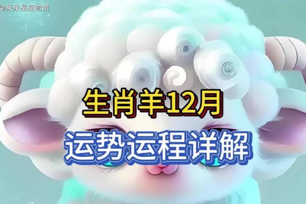 属羊人2024年下半年运势及运程_属羊人2025全年运势运程
