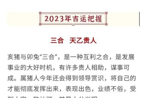 1983年属猪人2025年运势 2025年十一月属猪人运势解析1983年出生者11月运程指南