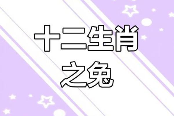 属兔人2025年全年运势_属兔人2025年全年运势详解1987