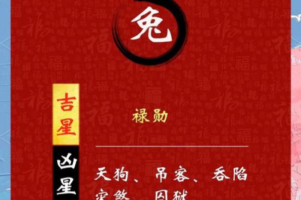 属兔人2025年全年运势_属兔人2025年全年运势详解1987