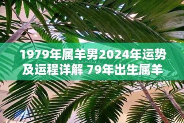 1979年属羊2025年怎么样_1979年2025年属羊人的全年运势