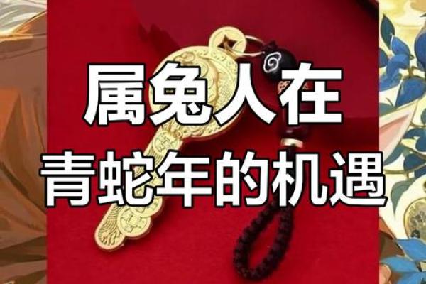 2025年属兔人的全年运势如何 2025年属兔人全年运势解析逐月运程吉凶详解