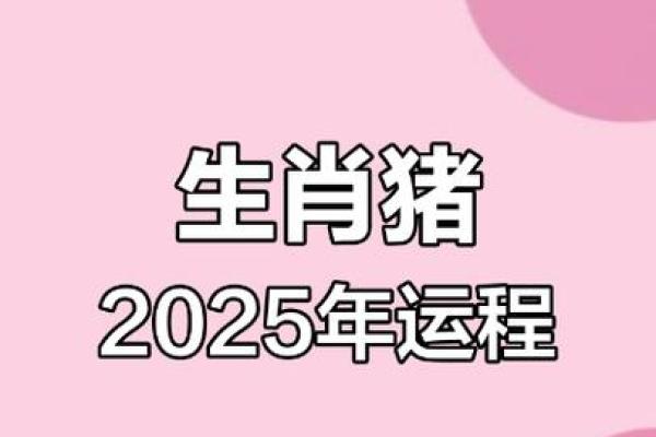 2007年属猪2025年运势_1996年属猪2025年运势及运程