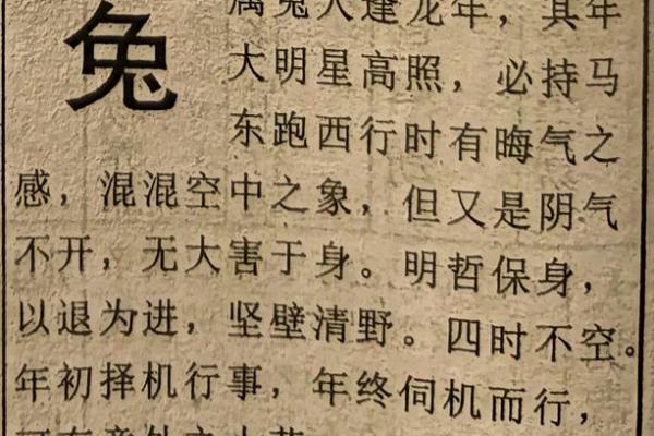 99属兔人2025年全年运势 2025年99年属兔人全年运势详解每月运程完整解析