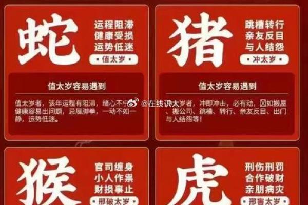 2025年87兔每月运势详解全年逐月运程完整指南