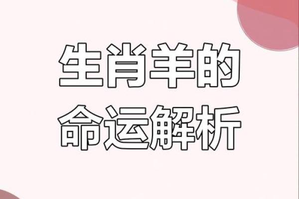 1967年属羊人今日运势 1967年属羊人今日运势解析事业财运健康全指南