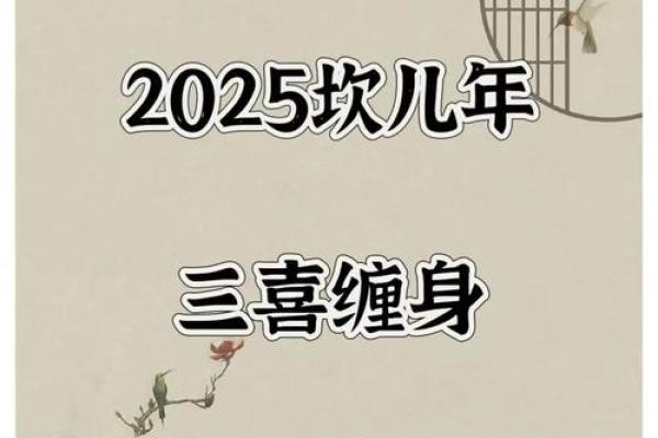 2025年属蛇人的运气_2025年十一月属蛇人运势解析蛇年11月运程全指南