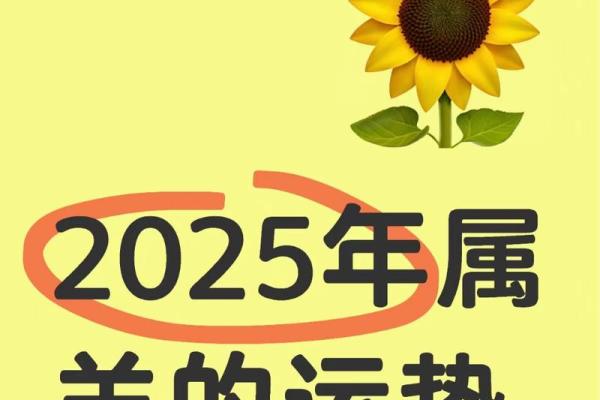 2025属羊的运气_1967年属羊人58岁大难