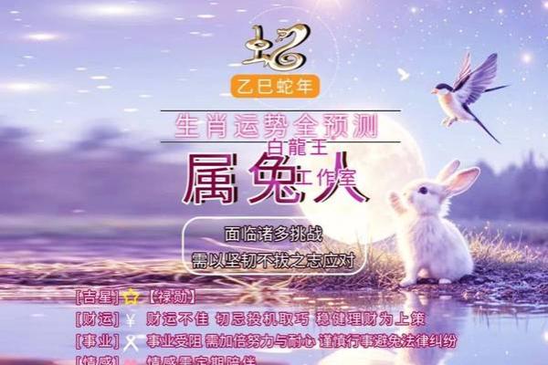 2025年属兔人全年运势1987 2025年属兔人全年运势详解1987年出生逐月运程指南