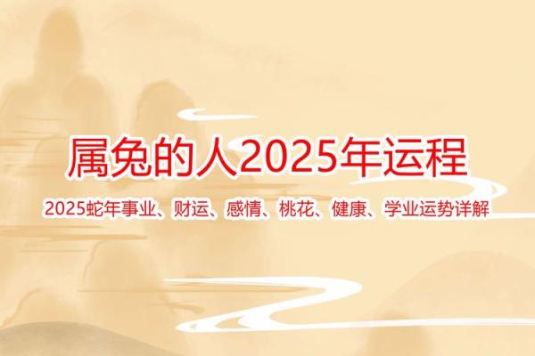 兔年在2025年运势 兔年在2025年运势如何